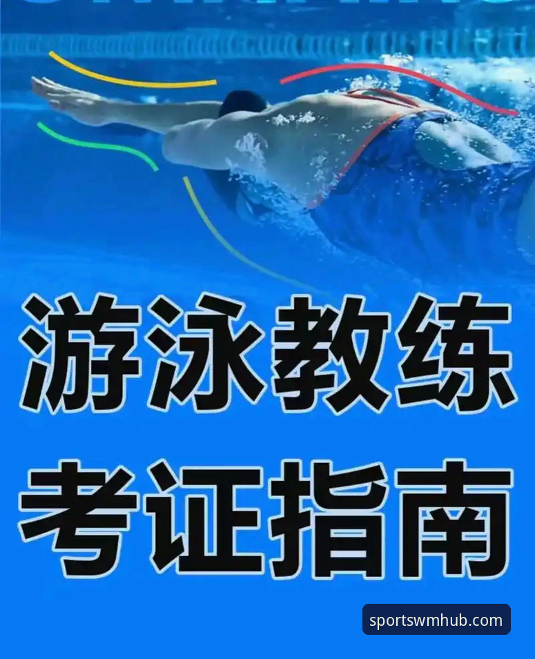 完美体育电脑版下载完整指南：新手到老用户的实用经验分享